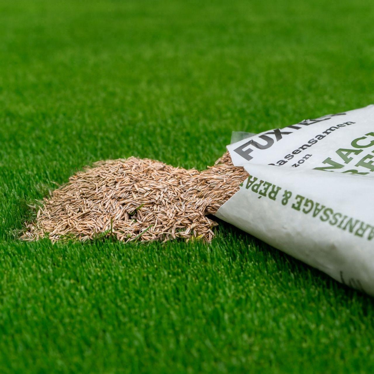 Osivo trávníku FUXTEC FX-RSNR1 - dosévání a opravy