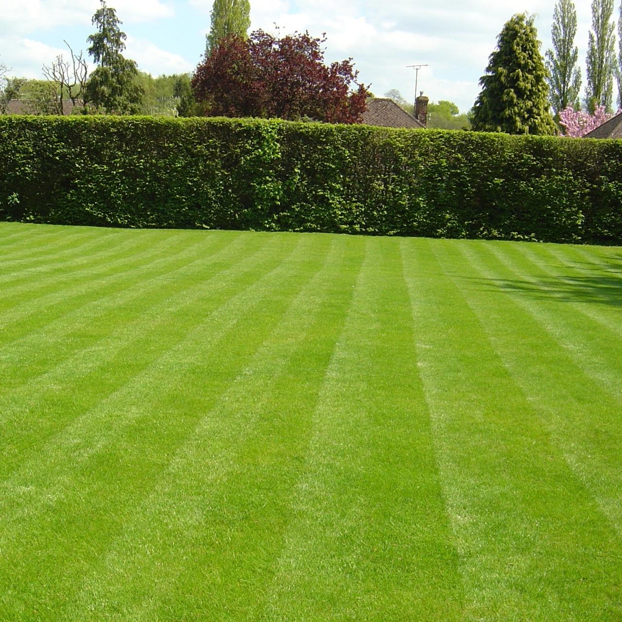 FUXTEC Trávníkové osivo Sport & Play 10 kg