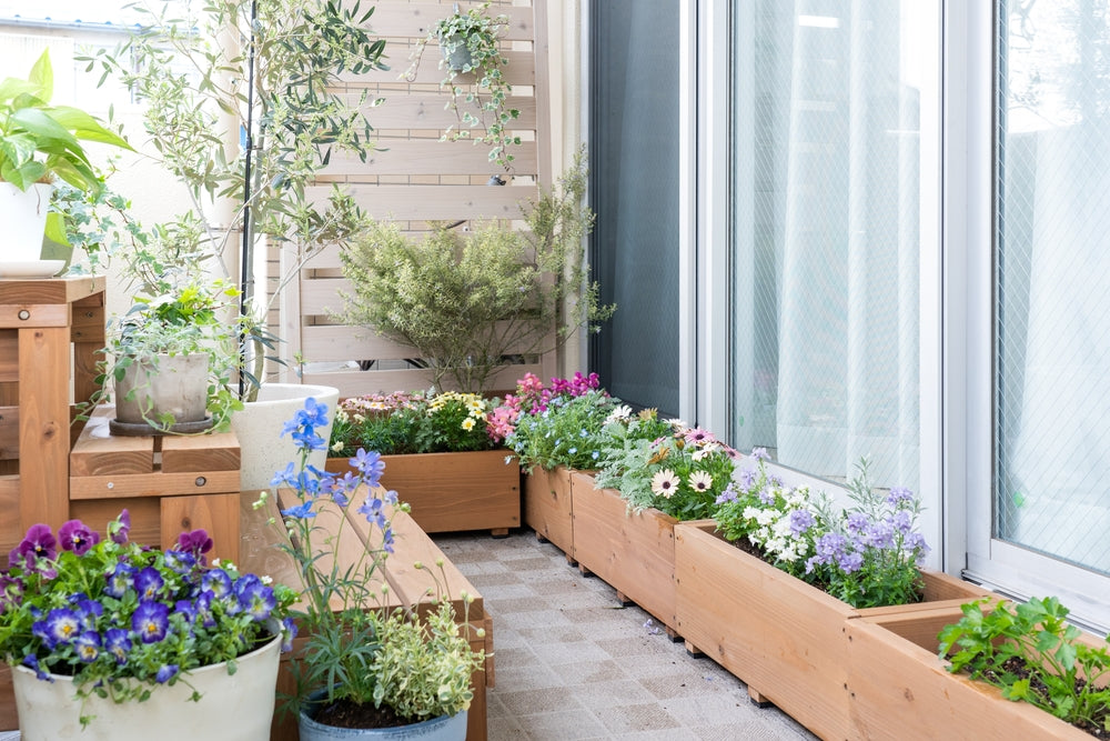 Blumenkasten bepflanzen Titelbild