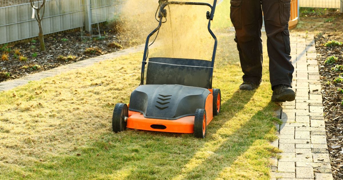 vertikutieren-ratgeber.jpg__PID:ab6af722-c9dd-4639-bbc8-52f4ee11a864